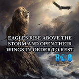 Eagle's Storm Rise T-Shirt