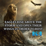 Eagles Storm Rise Canvas