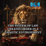 System Of Law Canvas